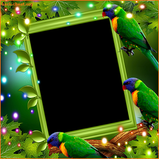 Rainbow Lorikeet Insta DP screenshot