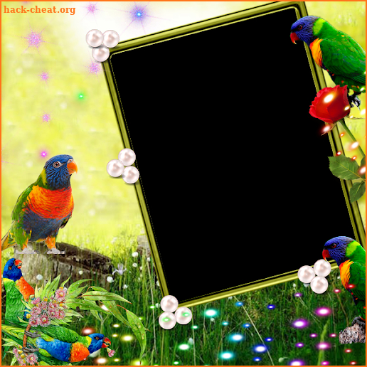 Rainbow Lorikeet Insta DP screenshot