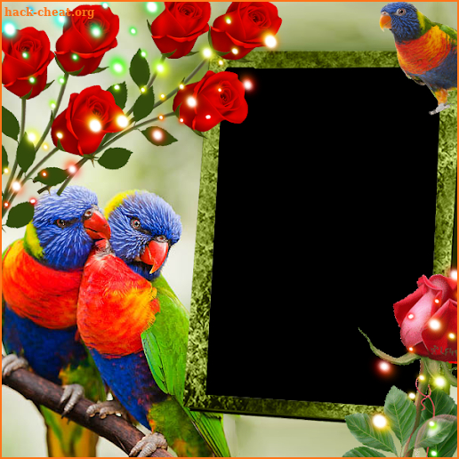 Rainbow Lorikeet Insta DP screenshot