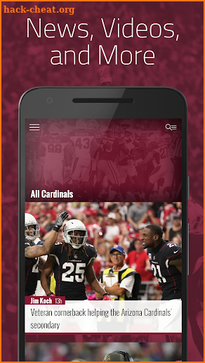 Raising Zona: News for Arizona Cardinals Fans screenshot