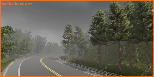 Rally Racing 3D screenshot