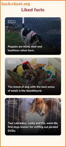 Random Dog Facts screenshot