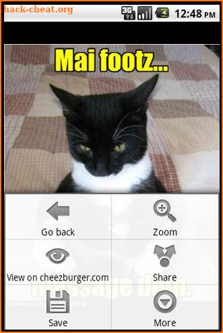 Random Lolcat (Donate) screenshot