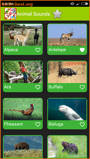 Real Animal Sounds screenshot