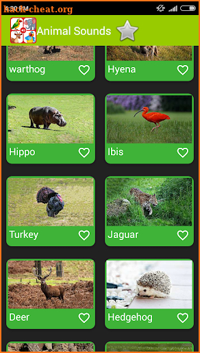 Real Animal Sounds screenshot