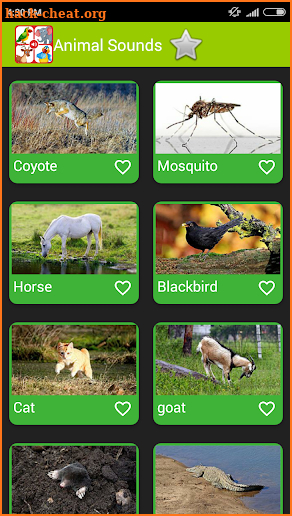 Real Animal Sounds screenshot