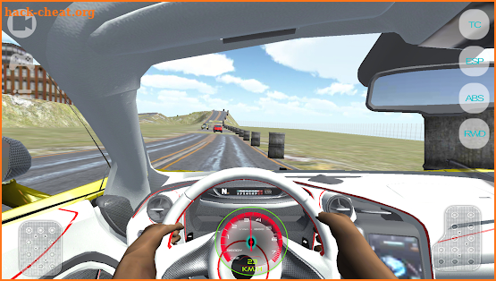 Real Car Driving Simulator 2018 screenshot