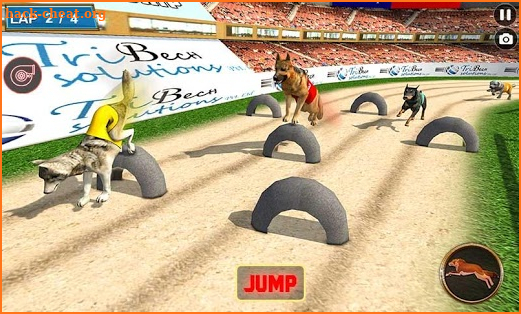 Real Dog Racing Tournament screenshot