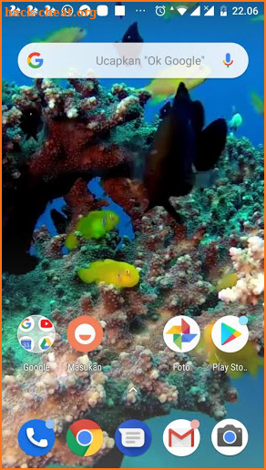 Real Fish Live Video Wallpaper screenshot