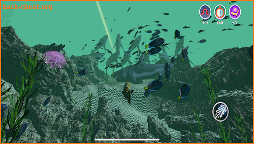 Real Fish Simulator screenshot