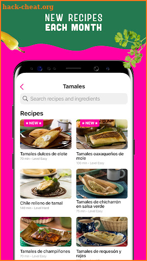 Real Mexican Recipes screenshot