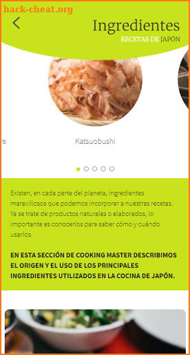 Recetas Japonesas screenshot