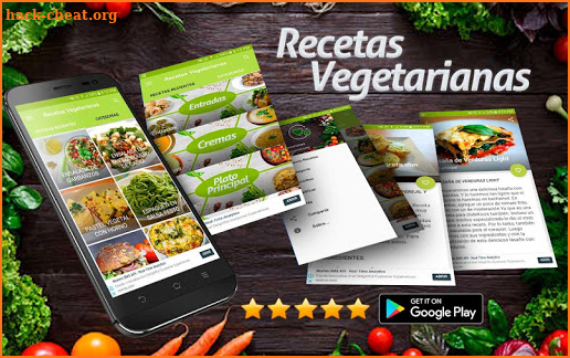 Recetas Vegetarianas fáciles screenshot