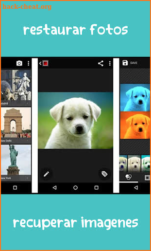 recuperar fotos borrados : SD&MOVIL screenshot