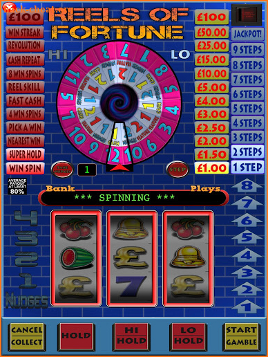 Reels of Fortune Fruit Machine screenshot