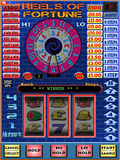 Reels of Fortune Fruit Machine screenshot