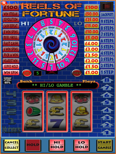 Reels of Fortune Fruit Machine screenshot