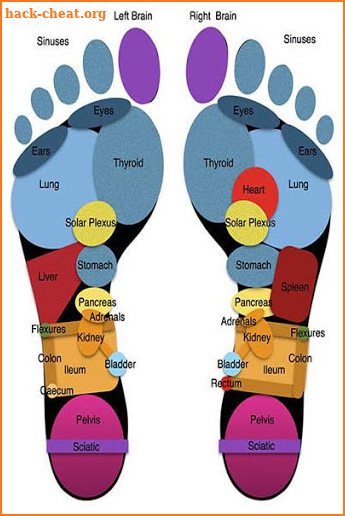 Reflexology screenshot