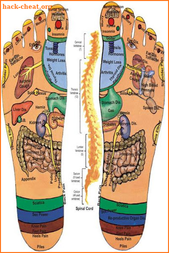 Reflexology screenshot