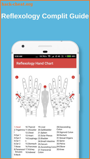 Reflexology Guide screenshot