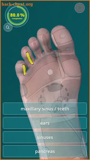 Reflexology Quiz 3D screenshot