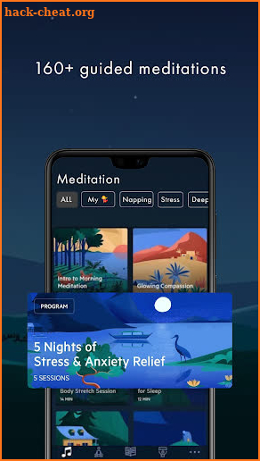 Relax Melodies Pro screenshot