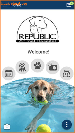 Republic Animal Hospital screenshot