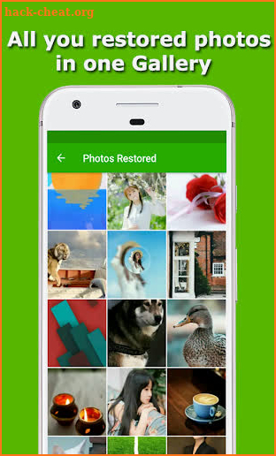 Restore Deleted Photos - Recover Deleted Pictures screenshot