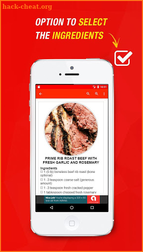 Roast Beef Recipes screenshot