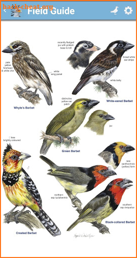 Roberts Bird Guide 2 screenshot