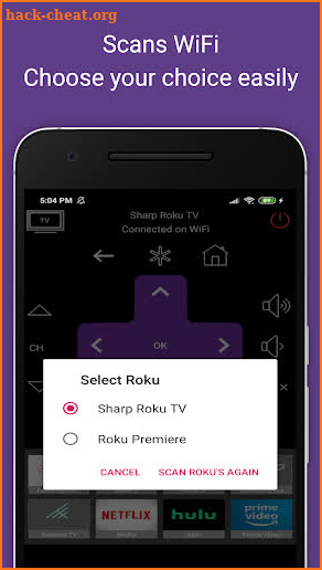 Roku TV Remote Control : iRoku screenshot