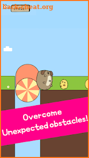 Rolling Animals screenshot