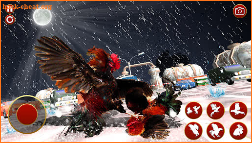 Rooster Fighting Angry Chicken screenshot