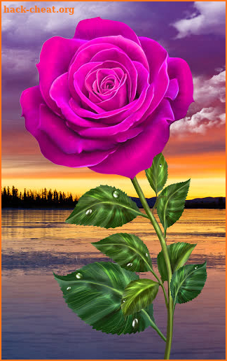 Rose. Magic Touch Flowers screenshot