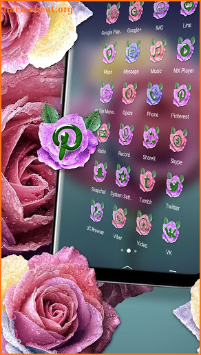 Rose Water Drop Theme Launcher screenshot