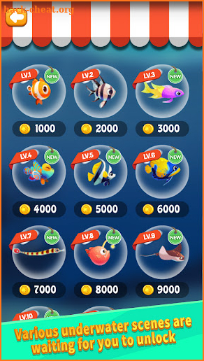 Royal Solitaire Fish screenshot