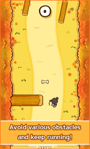 Running Dog screenshot