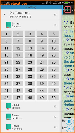 Russian English Audio Bible screenshot