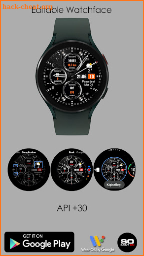 S200 Hybrid Watchface screenshot