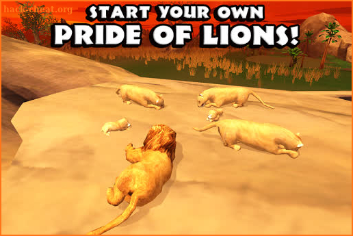 Safari Simulator: Lion screenshot