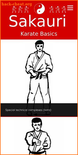 Sakauri Karate Basics screenshot