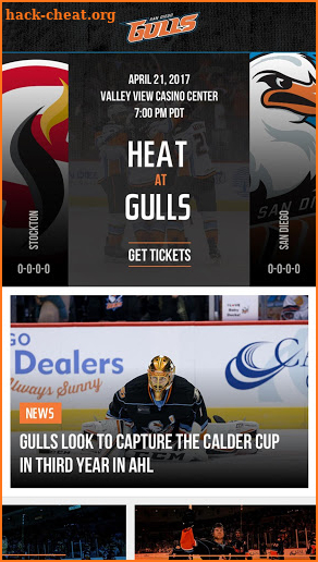 San Diego Gulls screenshot