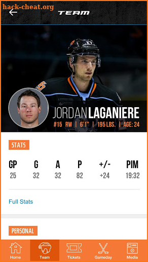 San Diego Gulls screenshot