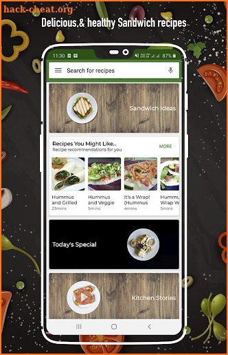 Sandwich Recipes screenshot