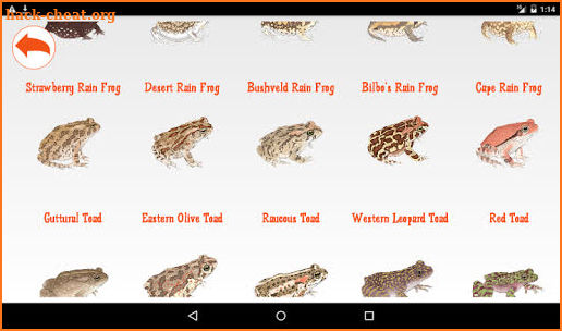 Sasol Young Explorer – Frogs screenshot