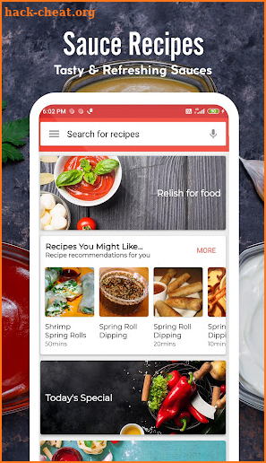 Sauce Recipes screenshot