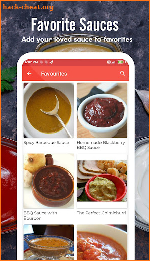 Sauce Recipes screenshot