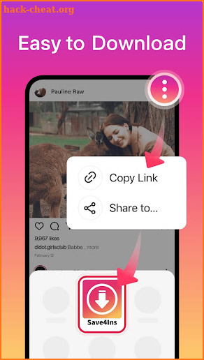 Save4Ins Downloader for IG screenshot