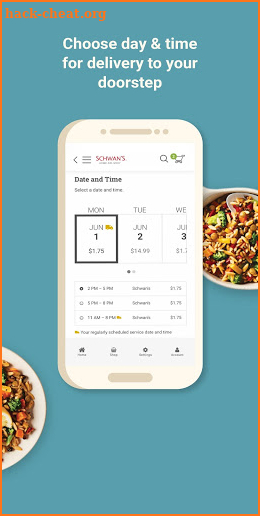 Schwan's Home Delivery screenshot