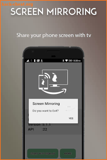 Screen Mirroring For Fire TV screenshot